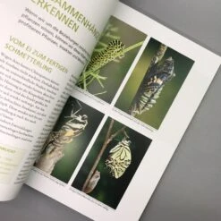 Mein Garten Summt! (Simone Kern) -Grün Raum Verkaufsgeschäft 19935 Mein 20Garten 20summt Simone 20Kern 4