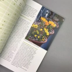 Mein Garten Summt! (Simone Kern) -Grün Raum Verkaufsgeschäft 19935 Mein 20Garten 20summt Simone 20Kern 5