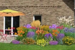 Leuchtfeuer (Farbpower Für Den Garten)