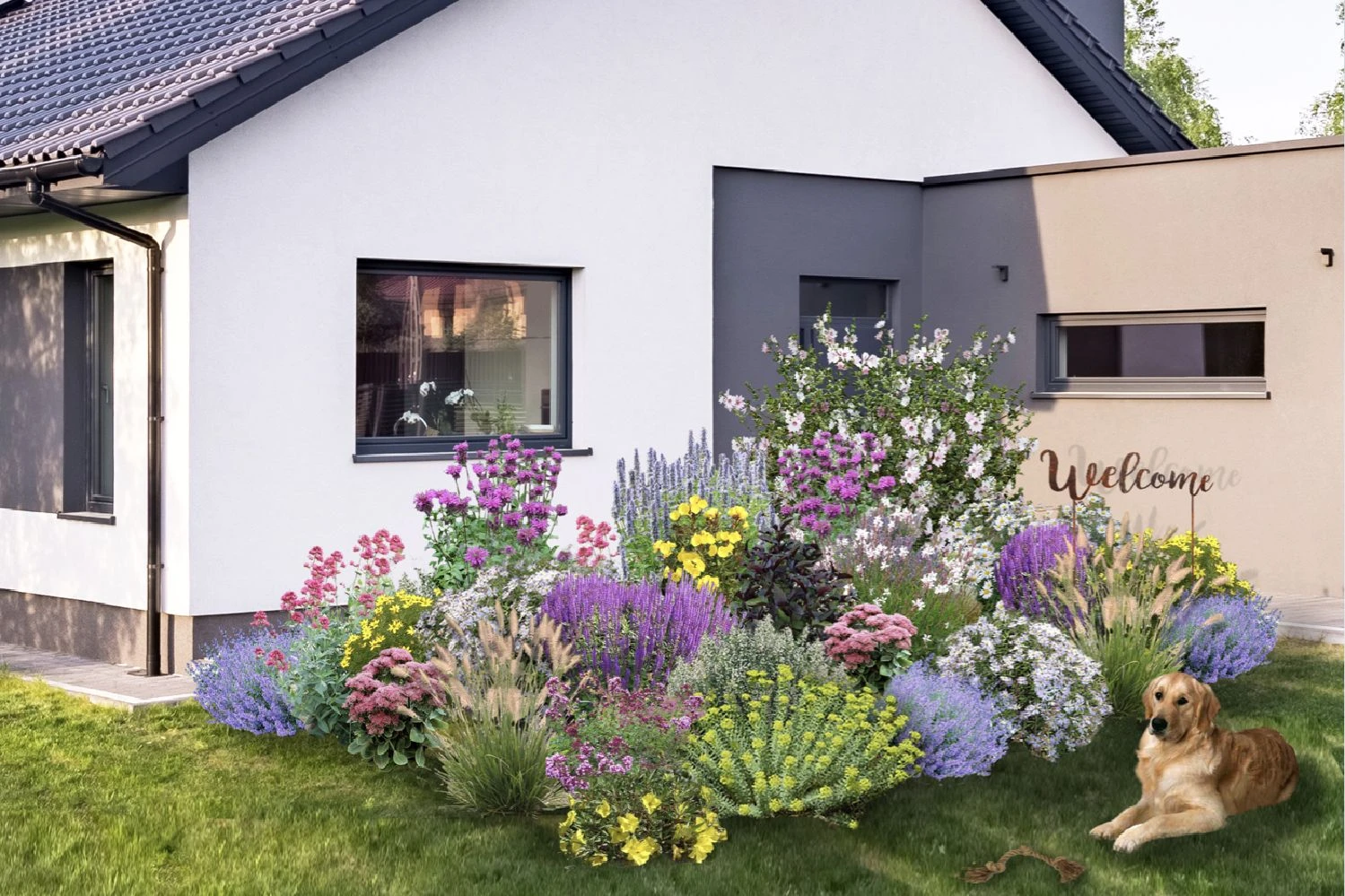 Dauerblüher (Perfektion In Form Und Farbe) 1 Dauerblüher (Perfektion In Form Und Farbe)