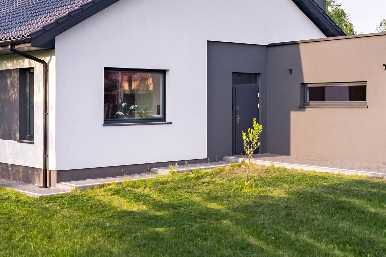 Dauerblüher (Perfektion In Form Und Farbe) 2 Dauerblüher (Perfektion In Form Und Farbe) – Bild 2