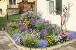 Dauerblüher (Perfektion In Form Und Farbe) 22 Dauerblüher (Perfektion In Form Und Farbe) -Grün Raum Verkaufsgeschäft 2001009 Dauerblueher Perfektion 20in 20Form 20und 20Farbe 3