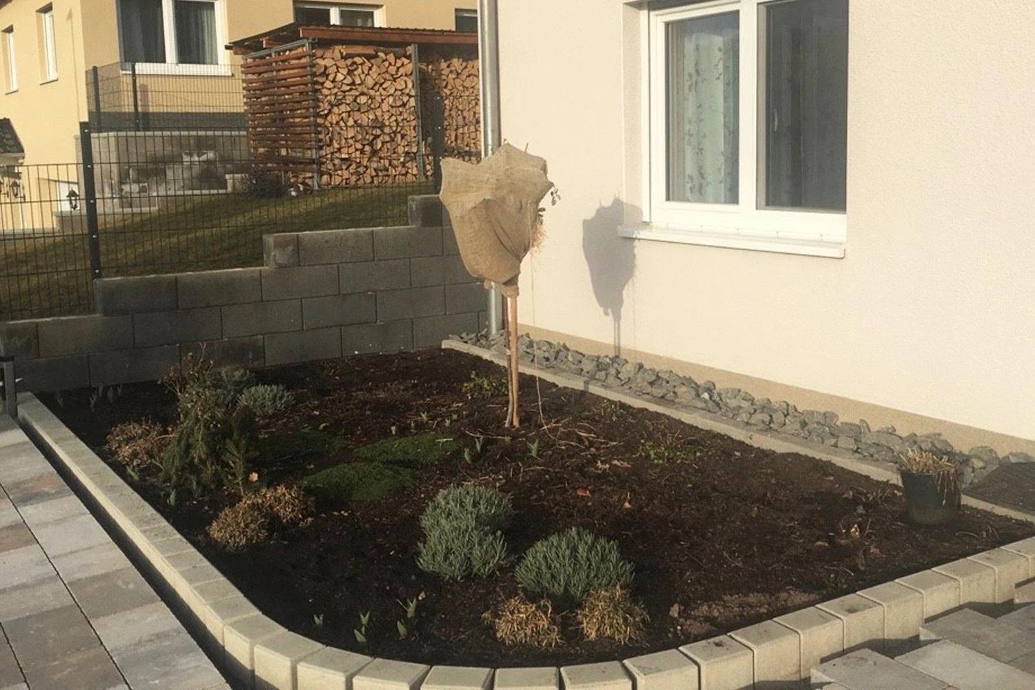 Dauerblüher (Perfektion In Form Und Farbe) 4 Dauerblüher (Perfektion In Form Und Farbe) – Bild 4