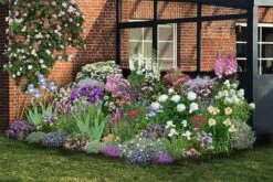 Pastellbeet (Ein Beet Zum Hineinkuscheln)