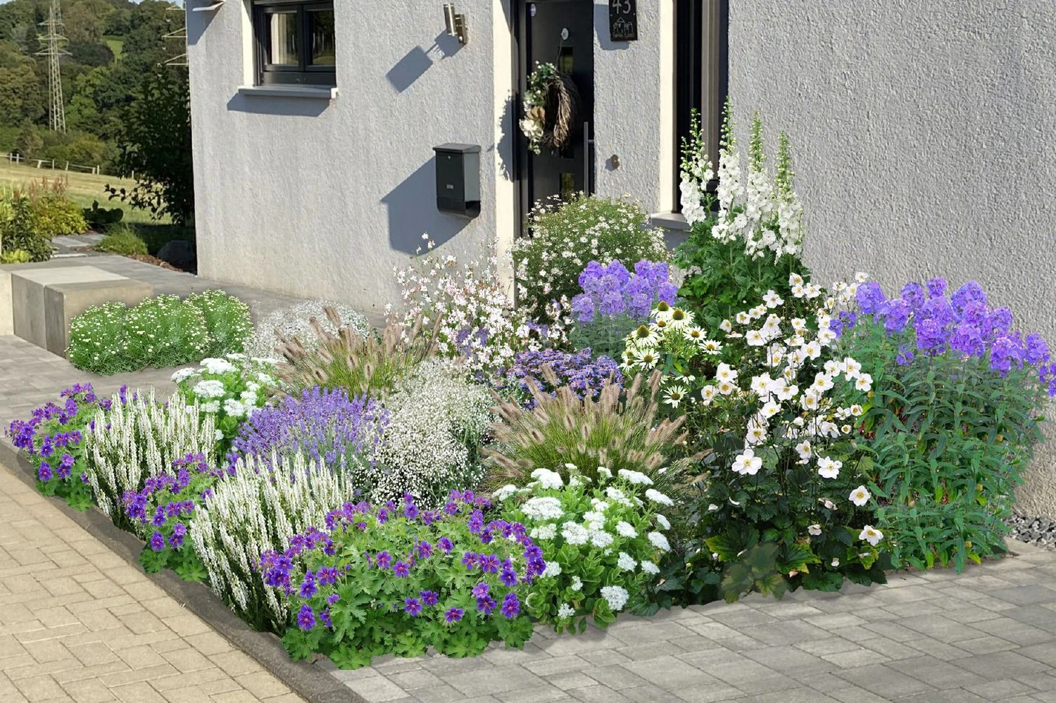 Blaue Welle (Das Klassisch-elegante Beet In Blau Und Weiß) 1 Blaue Welle (Das Klassisch-elegante Beet In Blau Und Weiß)