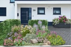 Sonniges Willkommen (Idee Für Den Vorgarten)