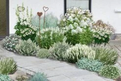 Brautzauber (Ein Traum In Weiß Und Silber)