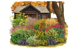 Indian Summer (Weite Welt-Kollektion)