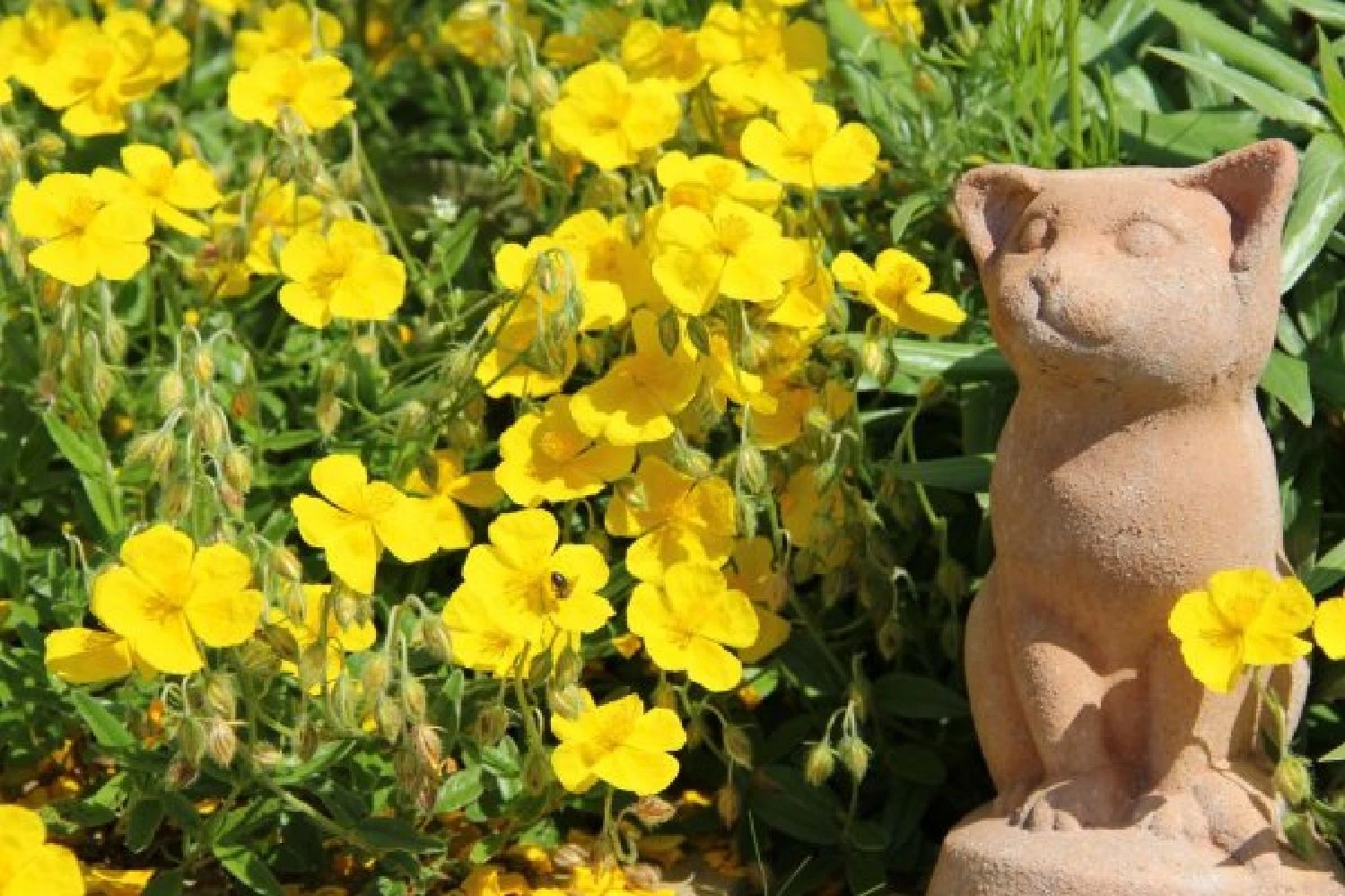 Indian Summer (Weite Welt-Kollektion) 7 Indian Summer (Weite Welt-Kollektion) – Bild 7