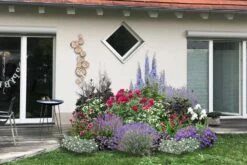 Beet In Feierlaune (Der Sommer Kann Kommen!) -Grün Raum Verkaufsgeschäft 2001804 Beet 20in 20Feierlaune Der 20Sommer 20kann 20kommen 3