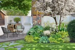 Crème Fraîche (Schönes Für Den Schatten) -Grün Raum Verkaufsgeschäft 2002104 Crme 20Frache Schoenes 20fuer 20den 20Schatten 3