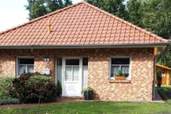 New German Style (Wundervolle Wildstaudenpracht) -Grün Raum Verkaufsgeschäft 2002441 New 20German 20Style Wundervolle 20Wildstaudenpracht 2