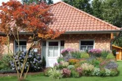 New German Style (Wundervolle Wildstaudenpracht) -Grün Raum Verkaufsgeschäft 2002441 New 20German 20Style Wundervolle 20Wildstaudenpracht 3