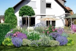 Traumhaftes Terrassenbeet (Doppelte Freude Durch Zwei Ansichtsseiten)