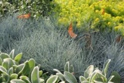 Das Hangbeet (Clevere Bepflanzung Für Schräge Flächen) -Grün Raum Verkaufsgeschäft 2003344 Das 20Hangbeet Clevere 20Bepflanzung 20fuer 20schraege 20Flaechen 10