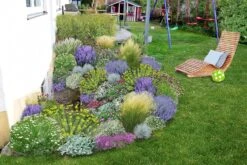 Das Hangbeet (Clevere Bepflanzung Für Schräge Flächen) -Grün Raum Verkaufsgeschäft 2003344 Das 20Hangbeet Clevere 20Bepflanzung 20fuer 20schraege 20Flaechen 3