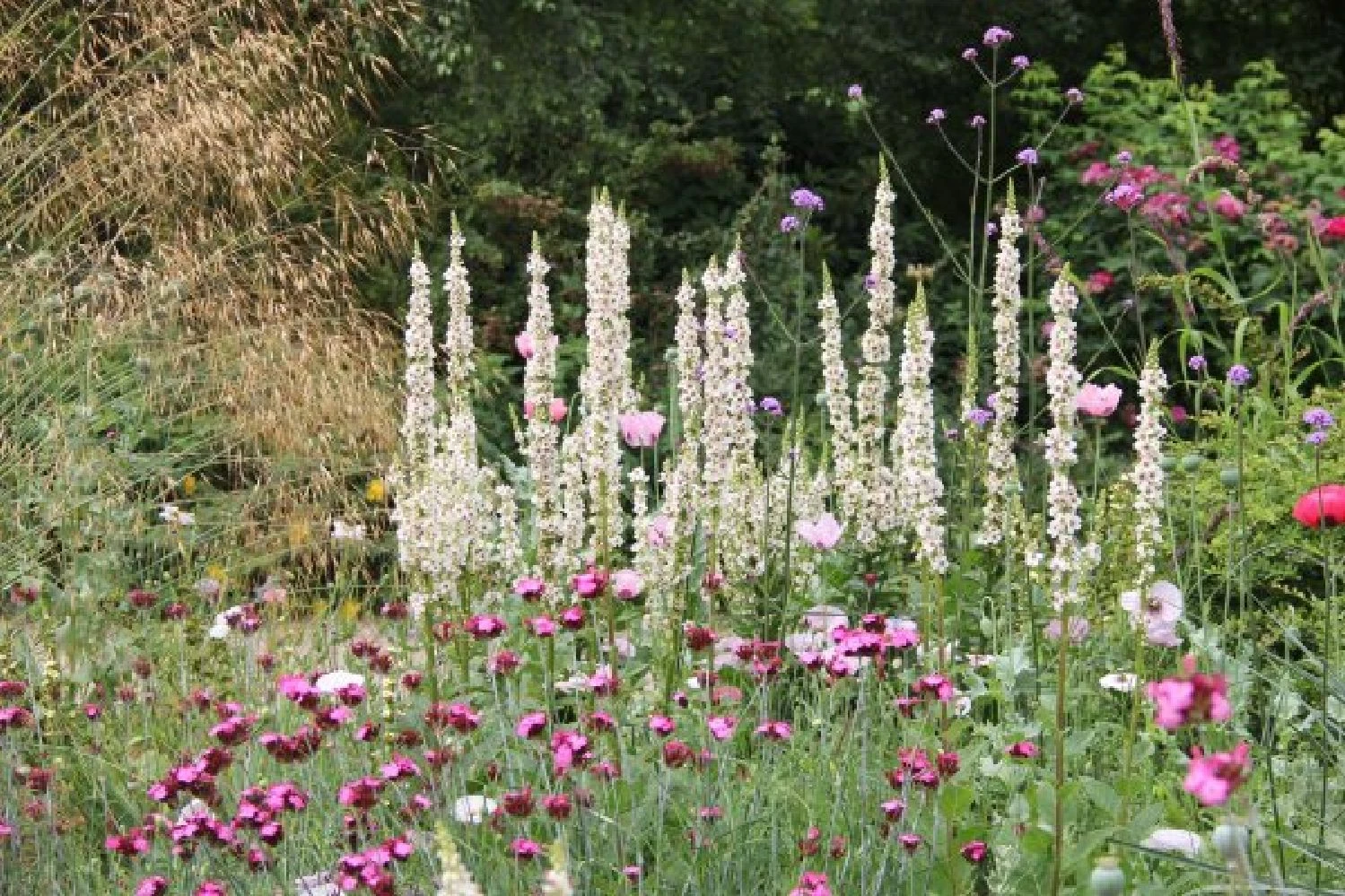 Rosige Aussichten (Ein Sitzplatz Im Zeichen Der Königin Der Blumen) – Bild 13