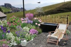 Der Berg Ruft (Maximale Blütenfreude Für Raue Gegenden) -Grün Raum Verkaufsgeschäft 2004415 Der 20Berg 20ruft Maximale 20Bluetenfreude 20fuer 20raue 20Gegenden 3