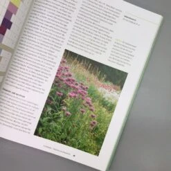 Einfach Schöne Beete (Christine Breier) -Grün Raum Verkaufsgeschäft 20593 Einfach 20schoene 20Beete Christine 20Breier 4