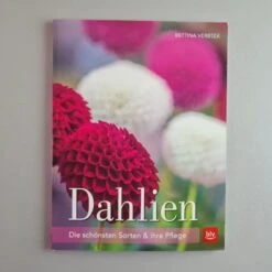 Dahlien (Bettina Verbeek) -Grün Raum Verkaufsgeschäft 21434 Dahlien Bettina 20Verbeek 1