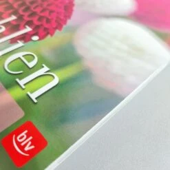 Dahlien (Bettina Verbeek) -Grün Raum Verkaufsgeschäft 21434 Dahlien Bettina 20Verbeek 2