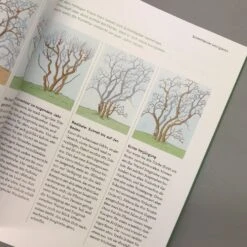 So Einfach Geht Pflanzenschnitt (Hansjörg Haas) -Grün Raum Verkaufsgeschäft 22145 So 20einfach 20geht 20Pflanzenschnitt Hansjoerg 20Haas 6