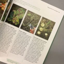 So Einfach Geht Pflanzenschnitt (Hansjörg Haas) -Grün Raum Verkaufsgeschäft 22145 So 20einfach 20geht 20Pflanzenschnitt Hansjoerg 20Haas 7