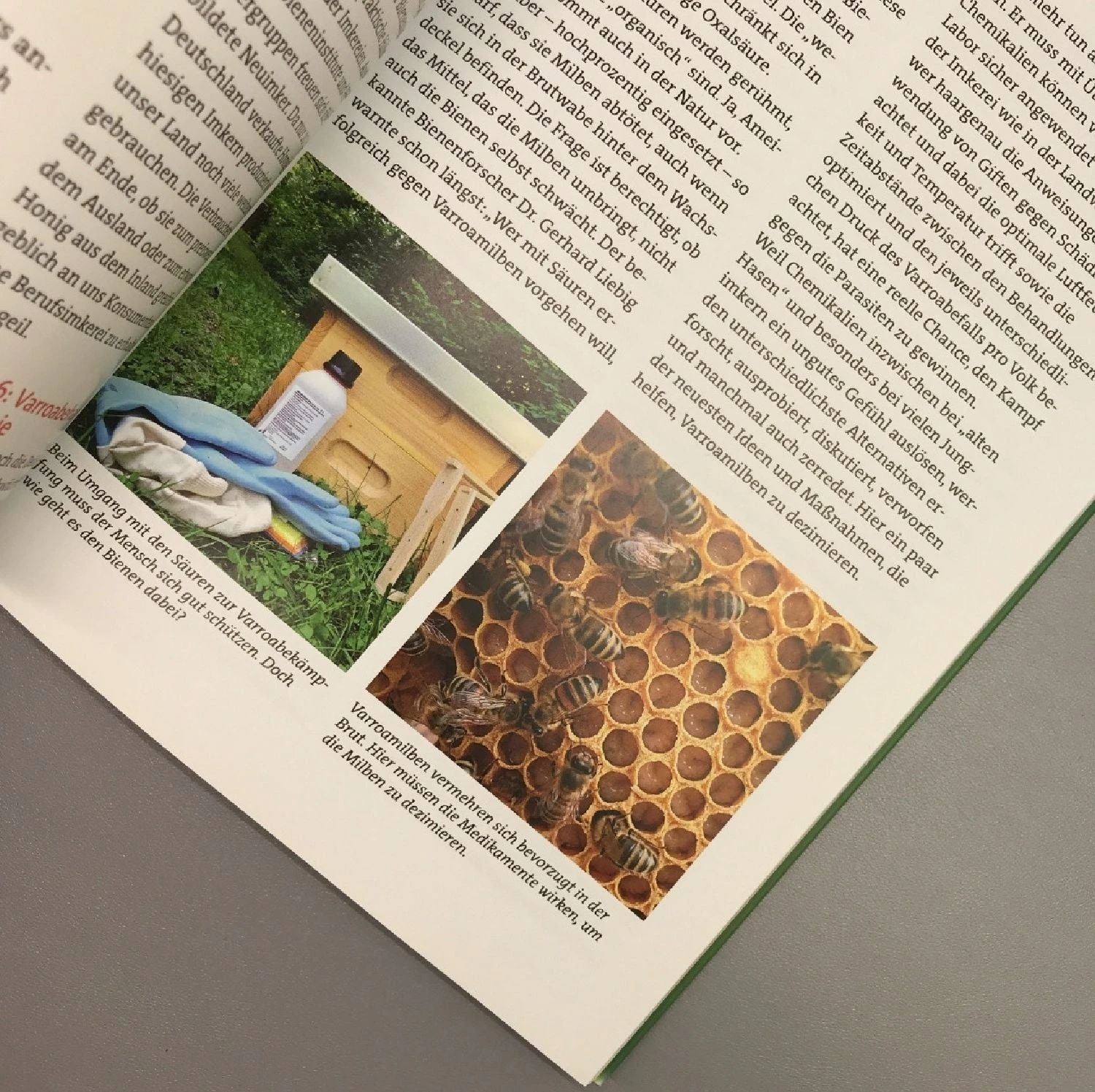 Wir Tun Was Für Die Bienen (Cornelis Hemmer) 9 Wir Tun Was Für Die Bienen (Cornelis Hemmer) – Bild 9