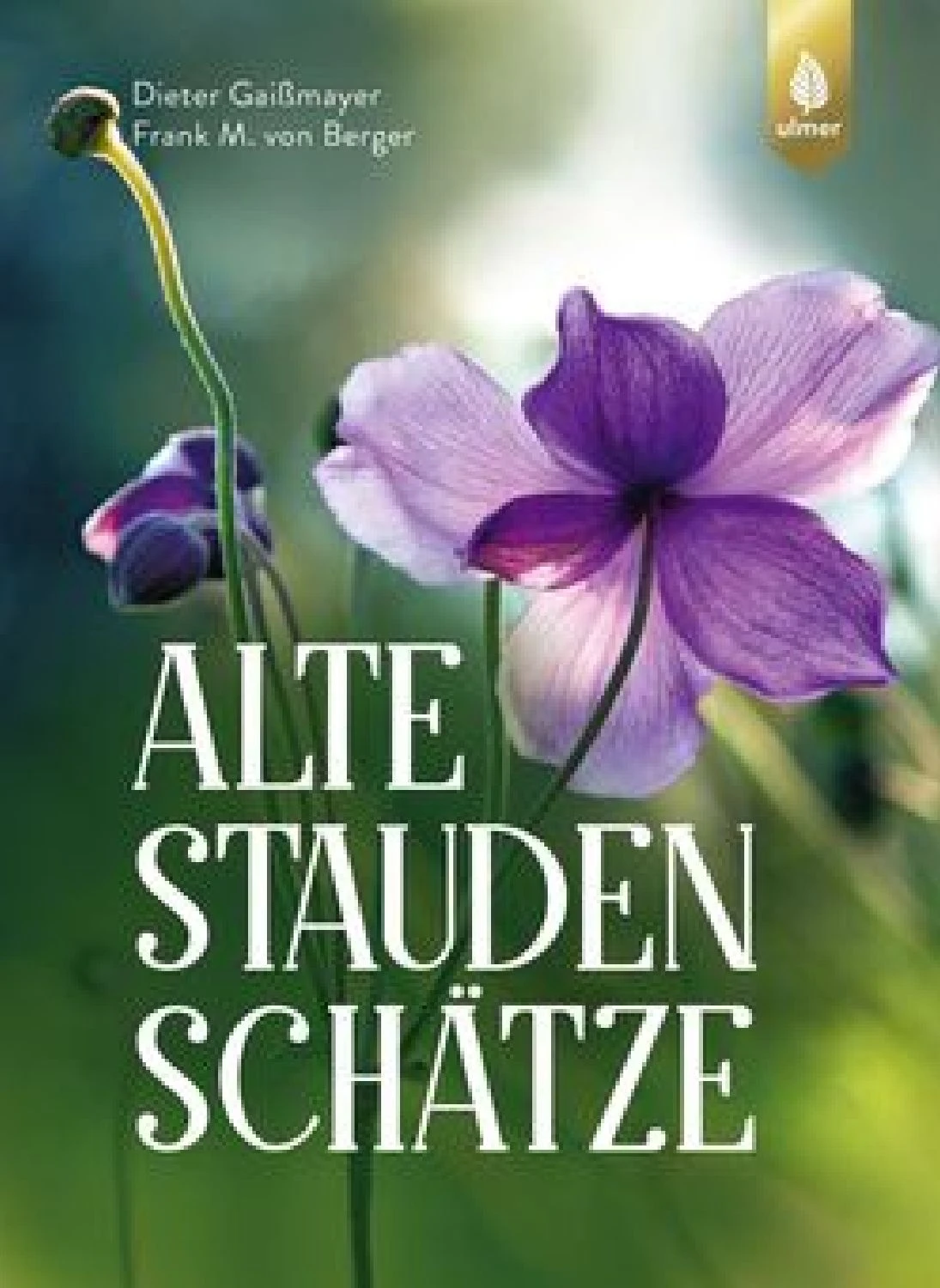 Alte Stauden Schätze (Dieter Gaißmayer) 5 Alte Stauden Schätze (Dieter Gaißmayer) – Bild 5