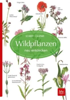 Wildpflanzen Neu Entdecken (Scherf & Caspari) -Grün Raum Verkaufsgeschäft 23318 Wildpflanzen 20neu 20entdecken Scherf 20 20Caspari 1