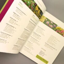 Grün Raum Verkaufsgeschäft -Grün Raum Verkaufsgeschäft 24676 Und 20es 20waechst 20doch Till 20Hofmann 3