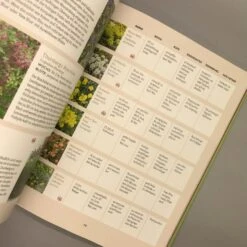 Und Es Wächst Doch! (Till Hofmann) -Grün Raum Verkaufsgeschäft 24676 Und 20es 20waechst 20doch Till 20Hofmann 5