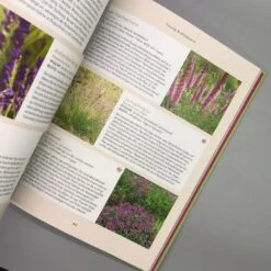 Und Es Wächst Doch! (Till Hofmann) -Grün Raum Verkaufsgeschäft 24676 Und 20es 20waechst 20doch Till 20Hofmann 6