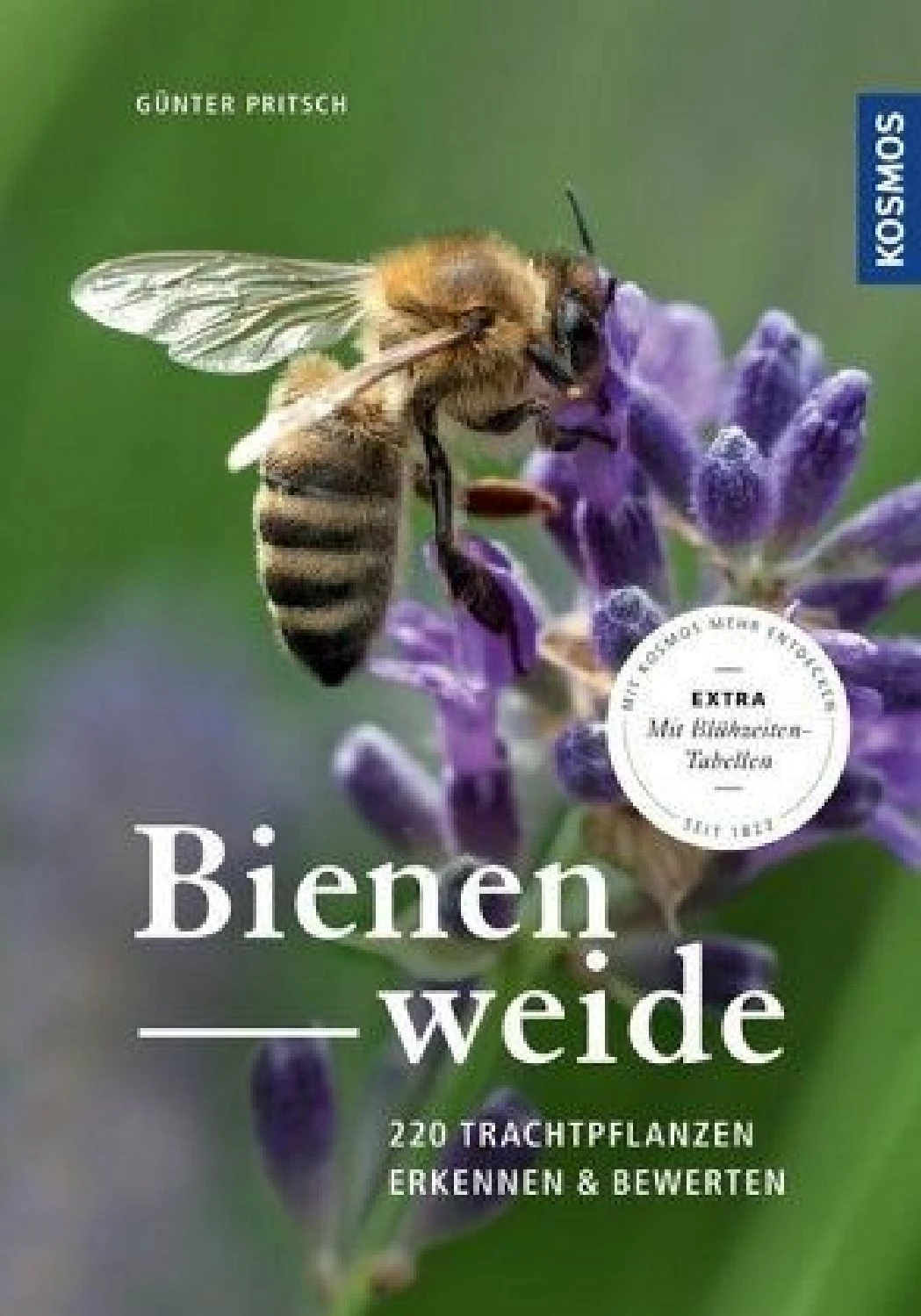 Bienenweide (Günter Pritsch) 1 Bienenweide (Günter Pritsch)