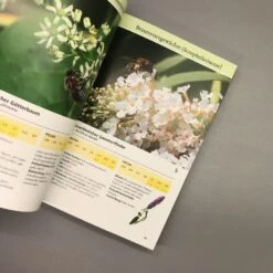 Bienenweide (Günter Pritsch) 9 Bienenweide (Günter Pritsch) -Grün Raum Verkaufsgeschäft 24710 Bienenweide Guenter 20Pritsch 4