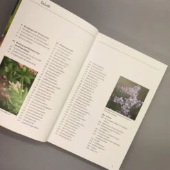 Bienenweide (Günter Pritsch) 11 Bienenweide (Günter Pritsch) -Grün Raum Verkaufsgeschäft 24710 Bienenweide Guenter 20Pritsch 6