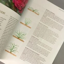 Das Große Ulmer Rosenbuch (Andreas Barlage) 8 Das Große Ulmer Rosenbuch (Andreas Barlage) -Grün Raum Verkaufsgeschäft 24876 Das 20grosse 20Ulmer 20Rosenbuch Andreas 20Barlage 4