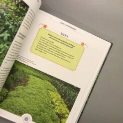 Viel Garten - Wenig Zeit (Brunhilde Bross) -Grün Raum Verkaufsgeschäft 26029 Viel 20Garten 20 20Wenig 20Zeit Brunhilde 20Bross 6