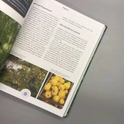 Viel Garten - Wenig Zeit (Brunhilde Bross) -Grün Raum Verkaufsgeschäft 26029 Viel 20Garten 20 20Wenig 20Zeit Brunhilde 20Bross 7