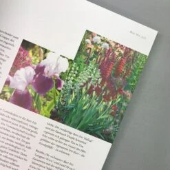 Ganzjährig Attraktive Beete (Ute Bauer) -Grün Raum Verkaufsgeschäft 26258 Ganzjaehrig 20attraktive 20Beete Ute 20Bauer 3