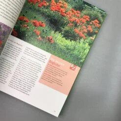 Ganzjährig Attraktive Beete (Ute Bauer) -Grün Raum Verkaufsgeschäft 26258 Ganzjaehrig 20attraktive 20Beete Ute 20Bauer 4