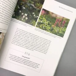 Mein Summendes Paradies (Cynthia Nagel) -Grün Raum Verkaufsgeschäft 26260 Mein 20summendes 20Paradies Cynthia 20Nagel 5