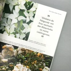 Mein Summendes Paradies (Cynthia Nagel) -Grün Raum Verkaufsgeschäft 26260 Mein 20summendes 20Paradies Cynthia 20Nagel 6