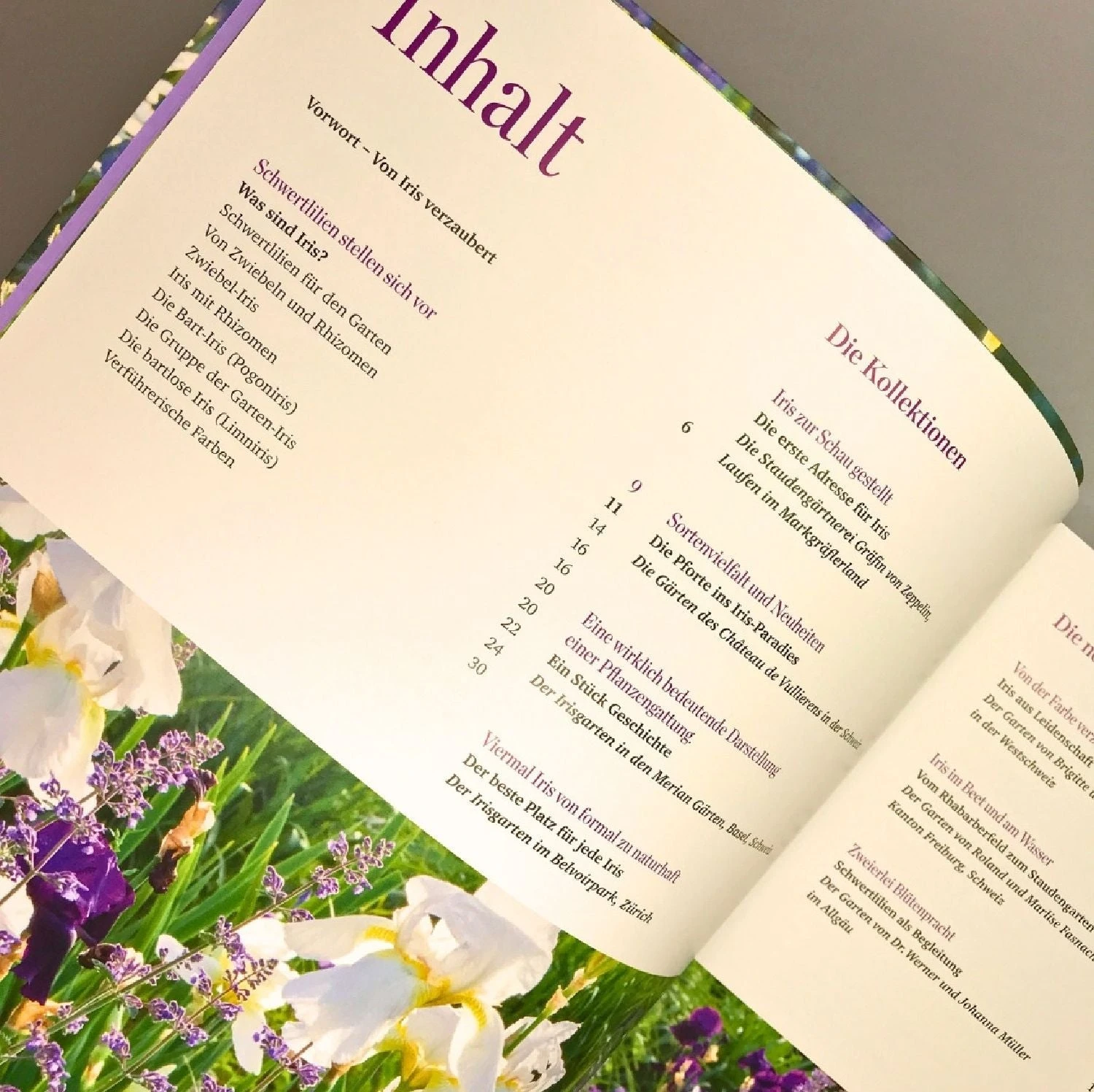 Iris In Bester Gesellschaft (Heidi Howcroft & Christa Brand) – Bild 2