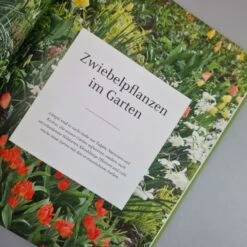 Blütenreich (Katrin Lugerbauer) -Grün Raum Verkaufsgeschäft 27346 Bluetenreich Katrin 20Lugerbauer 4