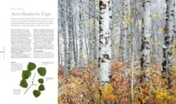 Flora (Wunderwelt Der Pflanzen) -Grün Raum Verkaufsgeschäft 27612 Flora Wunderwelt 20der 20Pflanzen 3