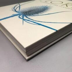 Flora (Wunderwelt Der Pflanzen) -Grün Raum Verkaufsgeschäft 27612 Flora Wunderwelt 20der 20Pflanzen 5