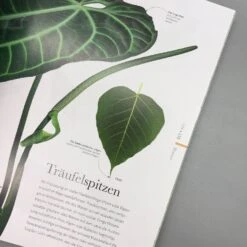 Flora (Wunderwelt Der Pflanzen) -Grün Raum Verkaufsgeschäft 27612 Flora Wunderwelt 20der 20Pflanzen 7