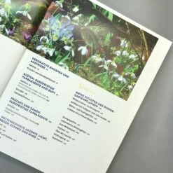 Lebendige Gärten Im Winter (Iris Frey) 7 Lebendige Gärten Im Winter (Iris Frey) -Grün Raum Verkaufsgeschäft 27951 Lebendige 20Gaerten 20im 20Winter Iris 20Frey 3