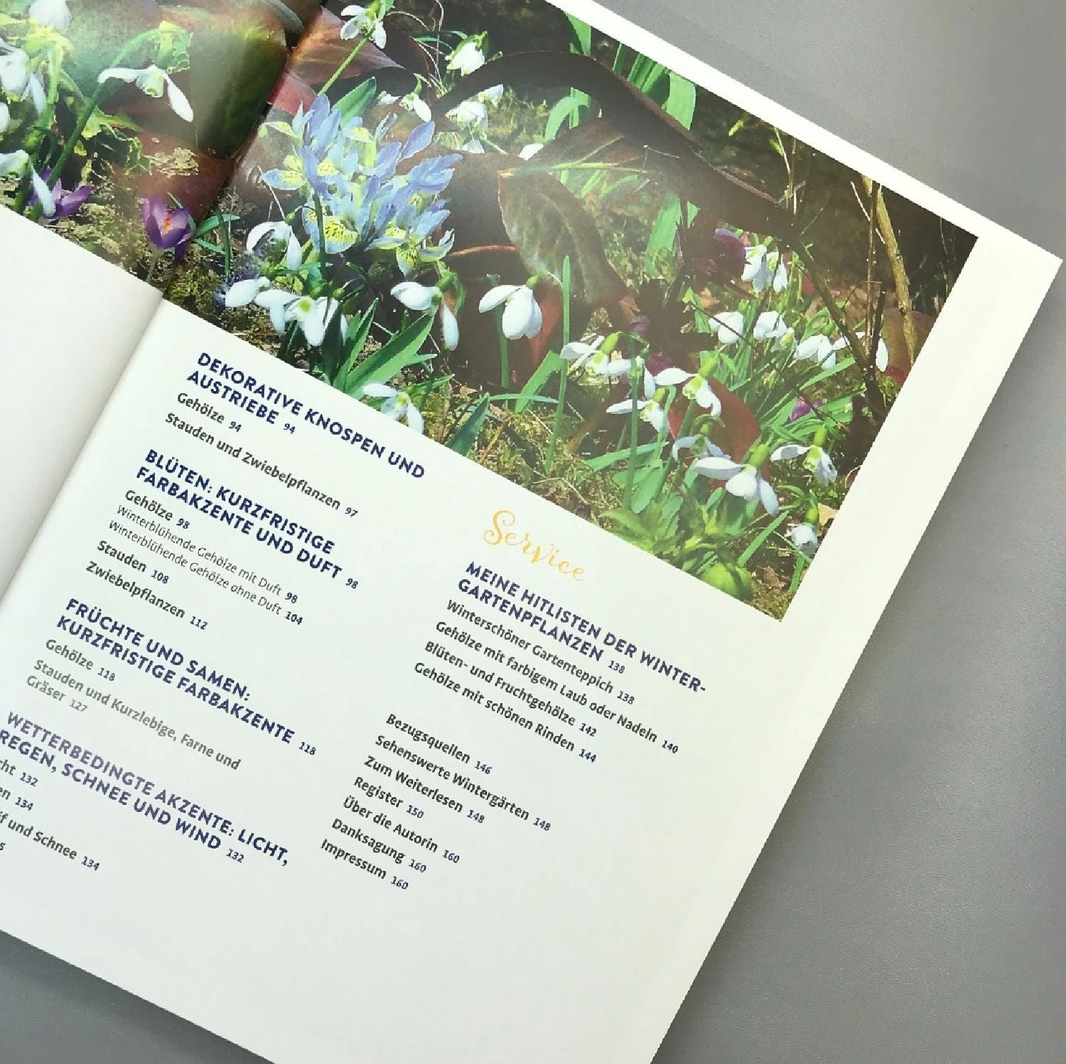 Lebendige Gärten Im Winter (Iris Frey) 3 Lebendige Gärten Im Winter (Iris Frey) – Bild 3